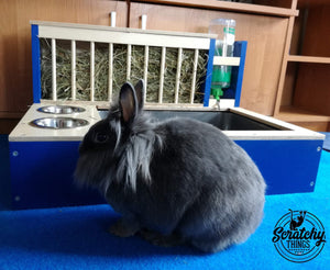Rabbit Hay Feeder Water Litter box - Nibbler Combo Spectra 4in1 - Scratchy Things Premium Pet Furniture