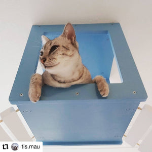 Cat Ceiling Shelf Bridge Bundle - Top Double Bridge Bundle - Scratchy Things Premium Pet Furniture