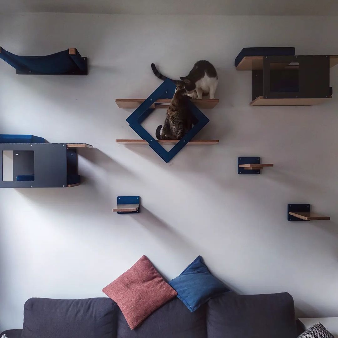 Cat Wall Shelf Bed Bundle - Gem Centered Bundle - Scratchy Things Premium Pet Furniture