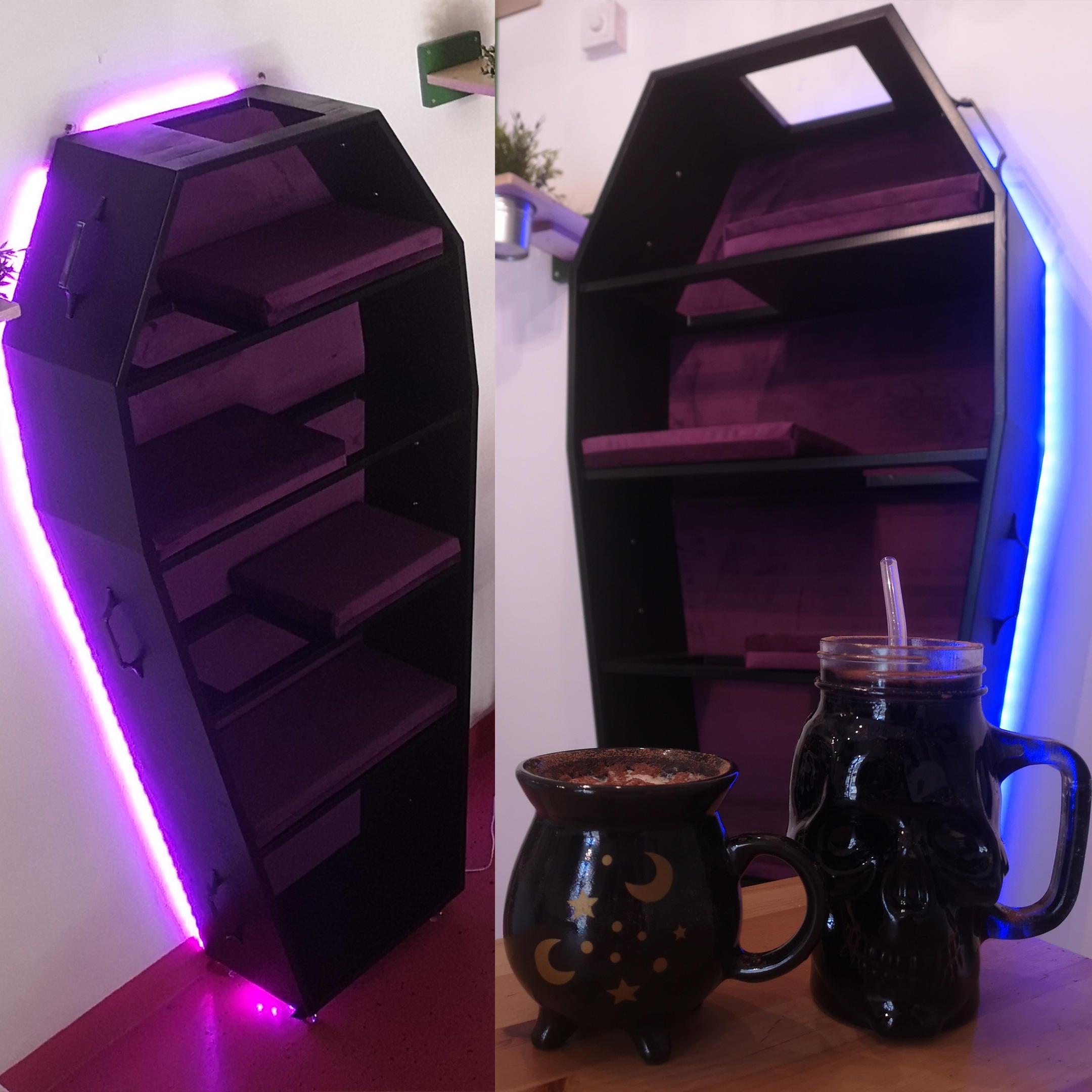 Making of a Custom Coffin Cat Climber