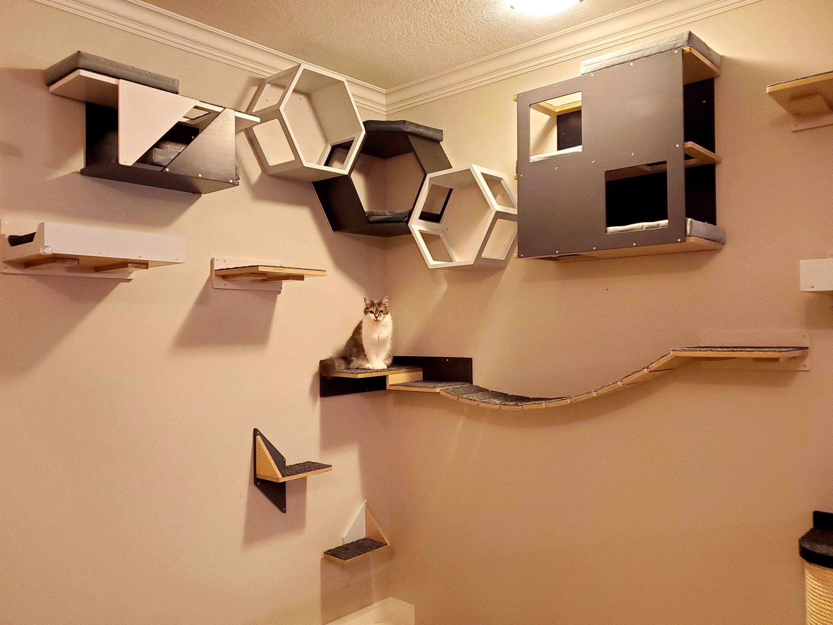 Cat Dream Home - Custom Full House Catification Project