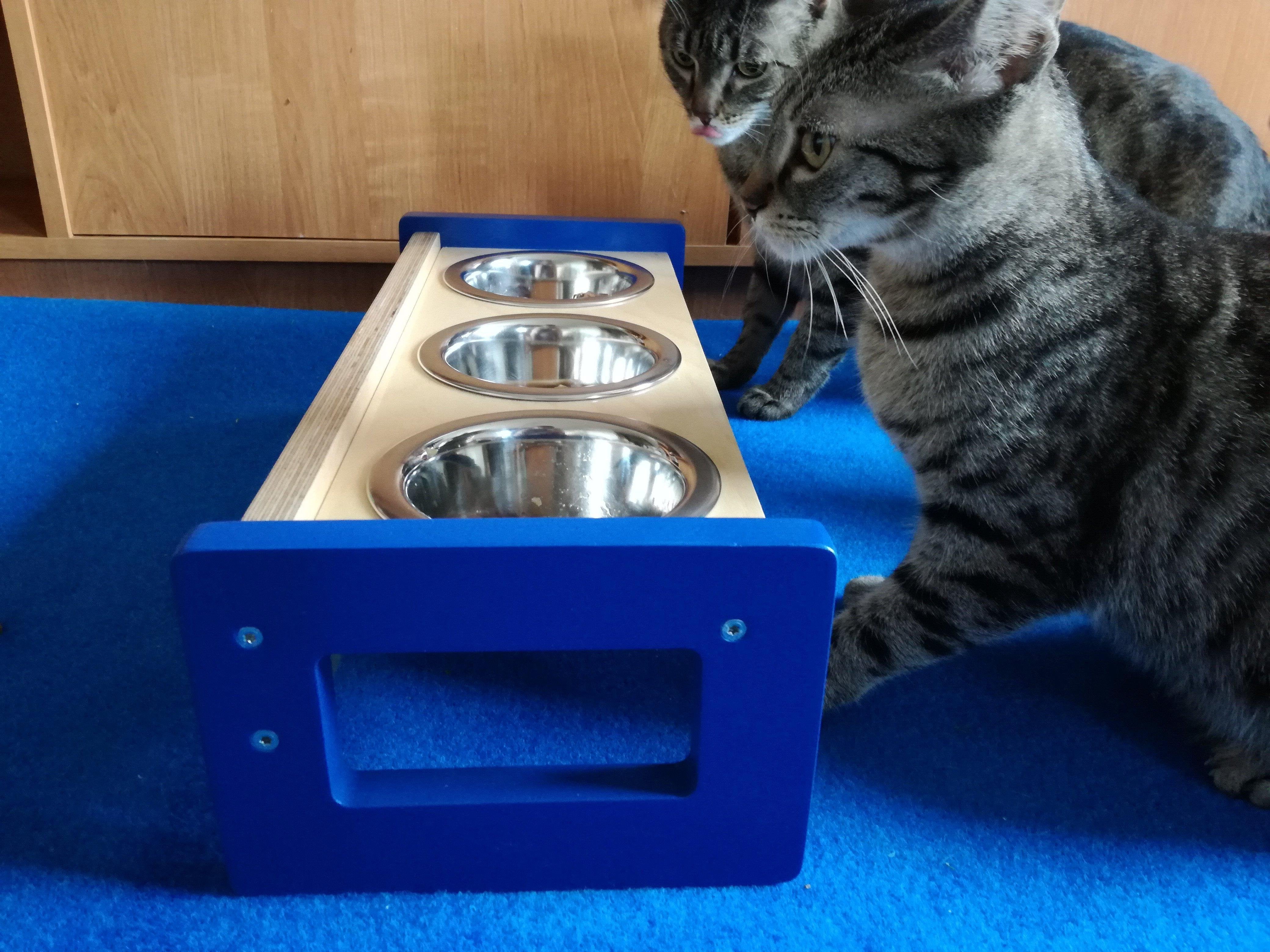 Floory-Scratchy Things