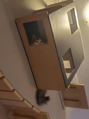 Big Cat Wall Shelf Bed - Wally BigCat Loft - Scratchy Things Premium Pet Furniture