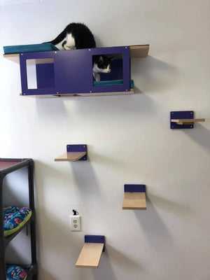 Cat Wall Shelf Bed - Wally Tunnel - Scratchy Things Premium Pet Furniture