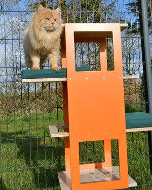 Catio Big Cat Wall Shelf Bed Perch - Catio BigCat Stacker - multilevel outdoor large cat shelf - Scratchy Things Premium Pet Furniture