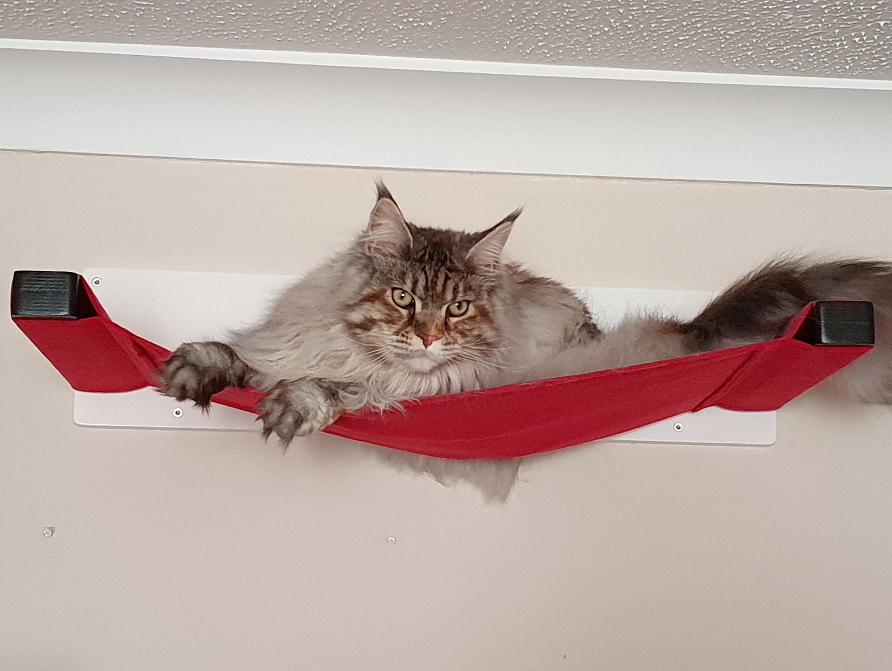 Big Giant Cat Wall Shelf Bed Hammock - Wally Giant Cot - Scratchy Things Premium Pet Furniture