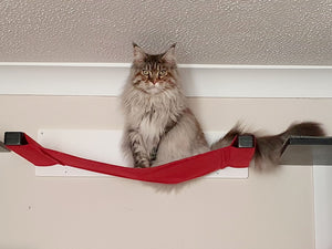 Big Giant Cat Wall Shelf Bed Hammock - Wally Giant Cot - Scratchy Things Premium Pet Furniture
