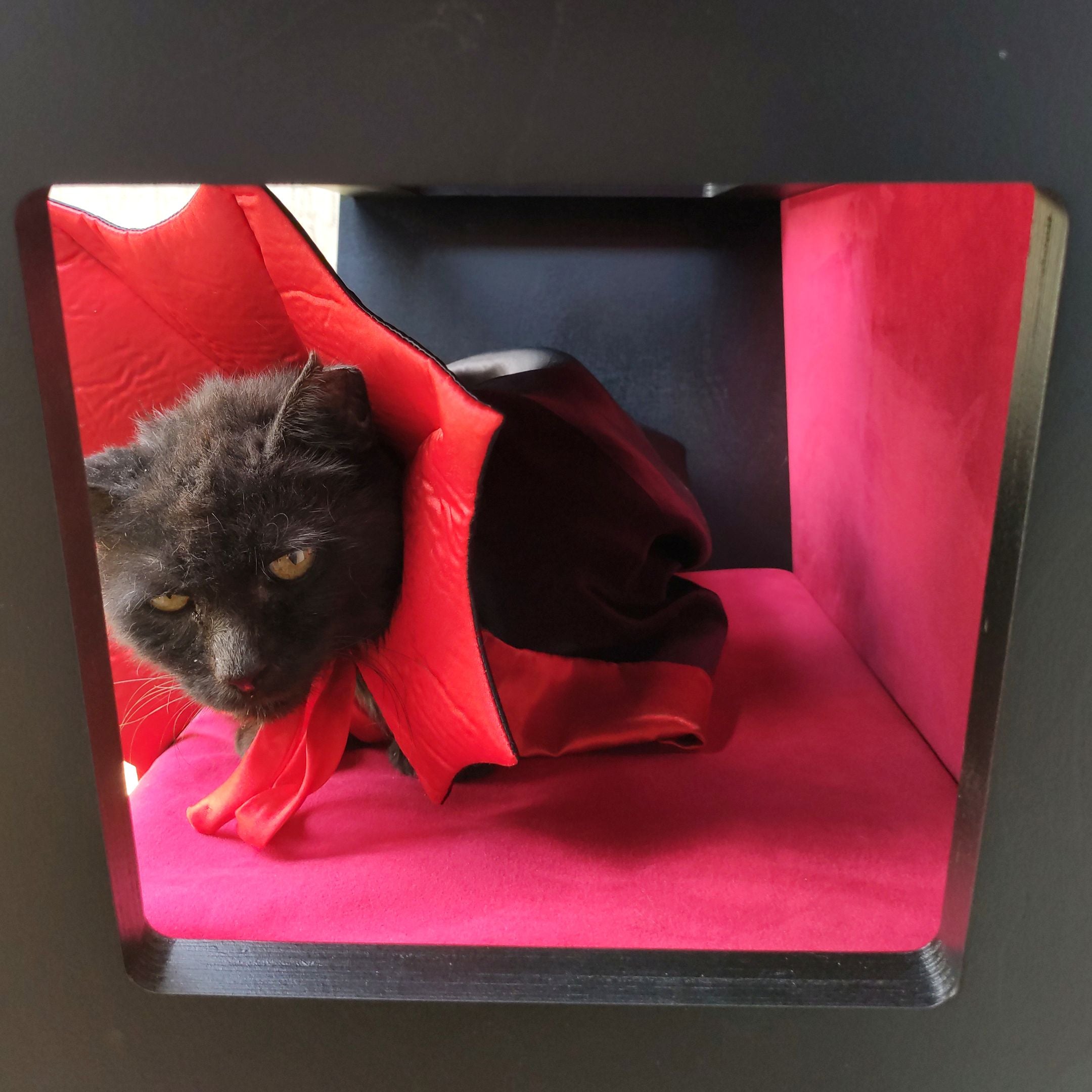 Big Cat Wall Shelf Bed Box Halloween - Wally Vampurrra - Scratchy Things Premium Pet Furniture