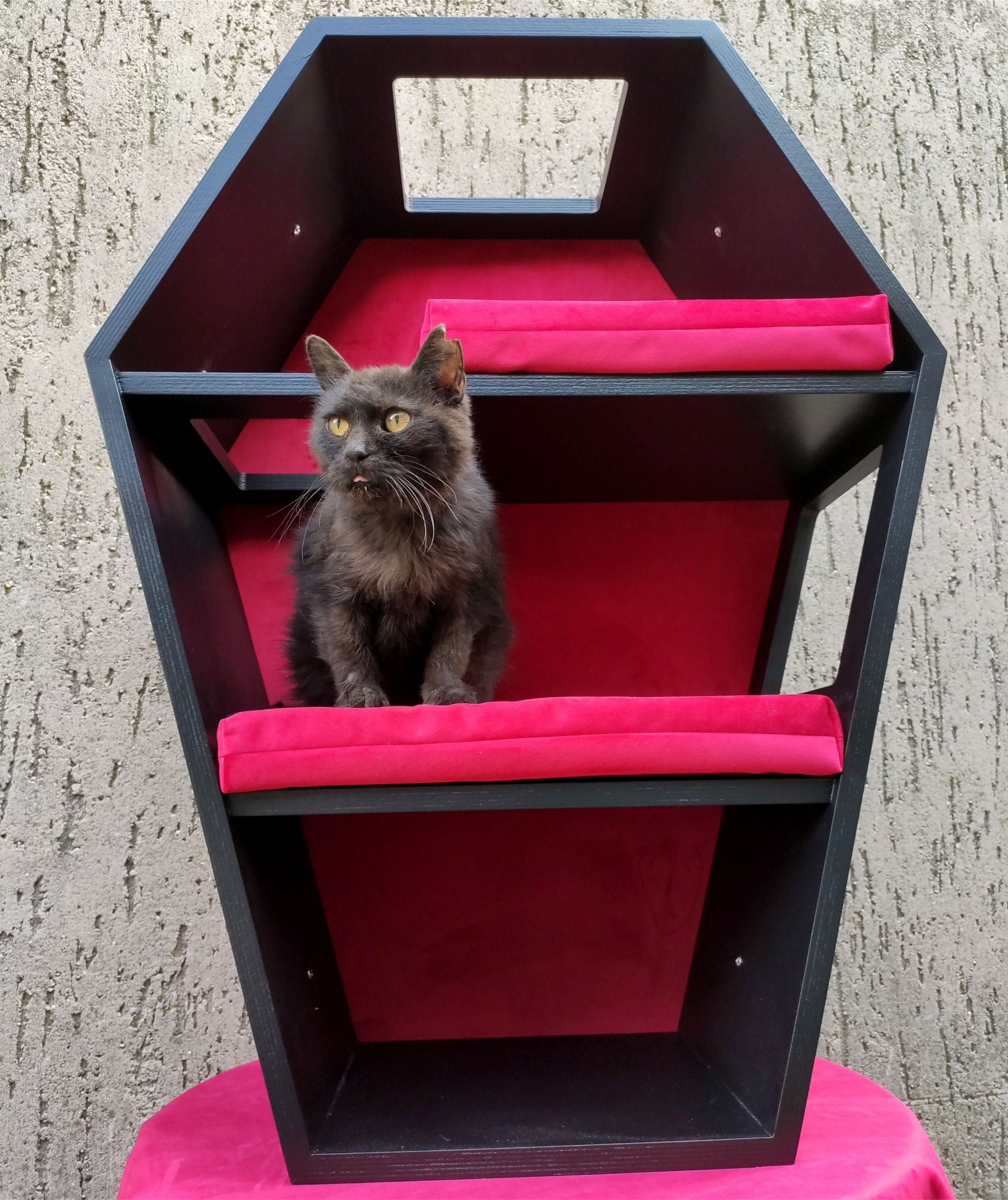 Big Cat Wall Shelf Bed Box Halloween - Wally Vampurrra - Scratchy Things Premium Pet Furniture