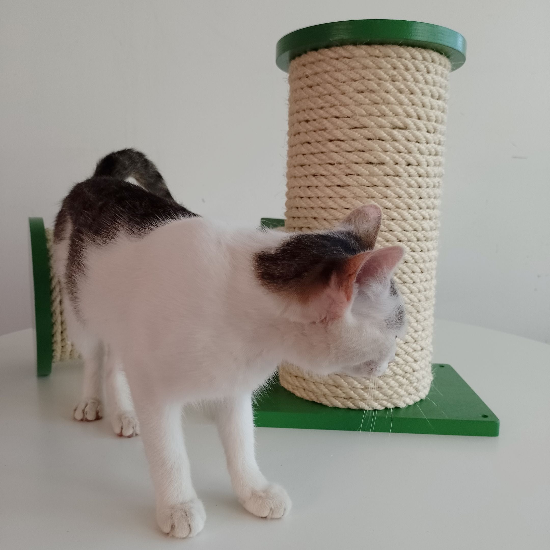 Cat Wall Scratching Pole Step Shelf - Wally Round Step Chonk - Scratchy Things Premium Pet Furniture