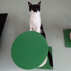 Cat Wall Scratching Pole Step Shelf - Wally Round Step Chonk - Scratchy Things Premium Pet Furniture