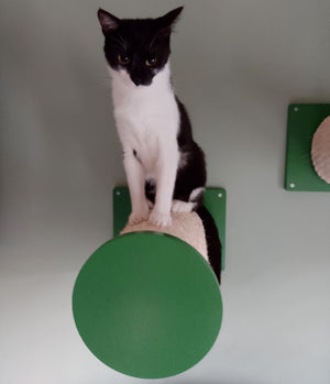 Cat Wall Scratching Pole Step Shelf - Wally Round Step Chonk - Scratchy Things Premium Pet Furniture