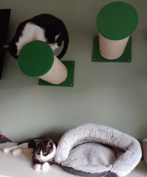 Cat Wall Scratching Pole Step Shelf - Wally Round Step Chonk - Scratchy Things Premium Pet Furniture