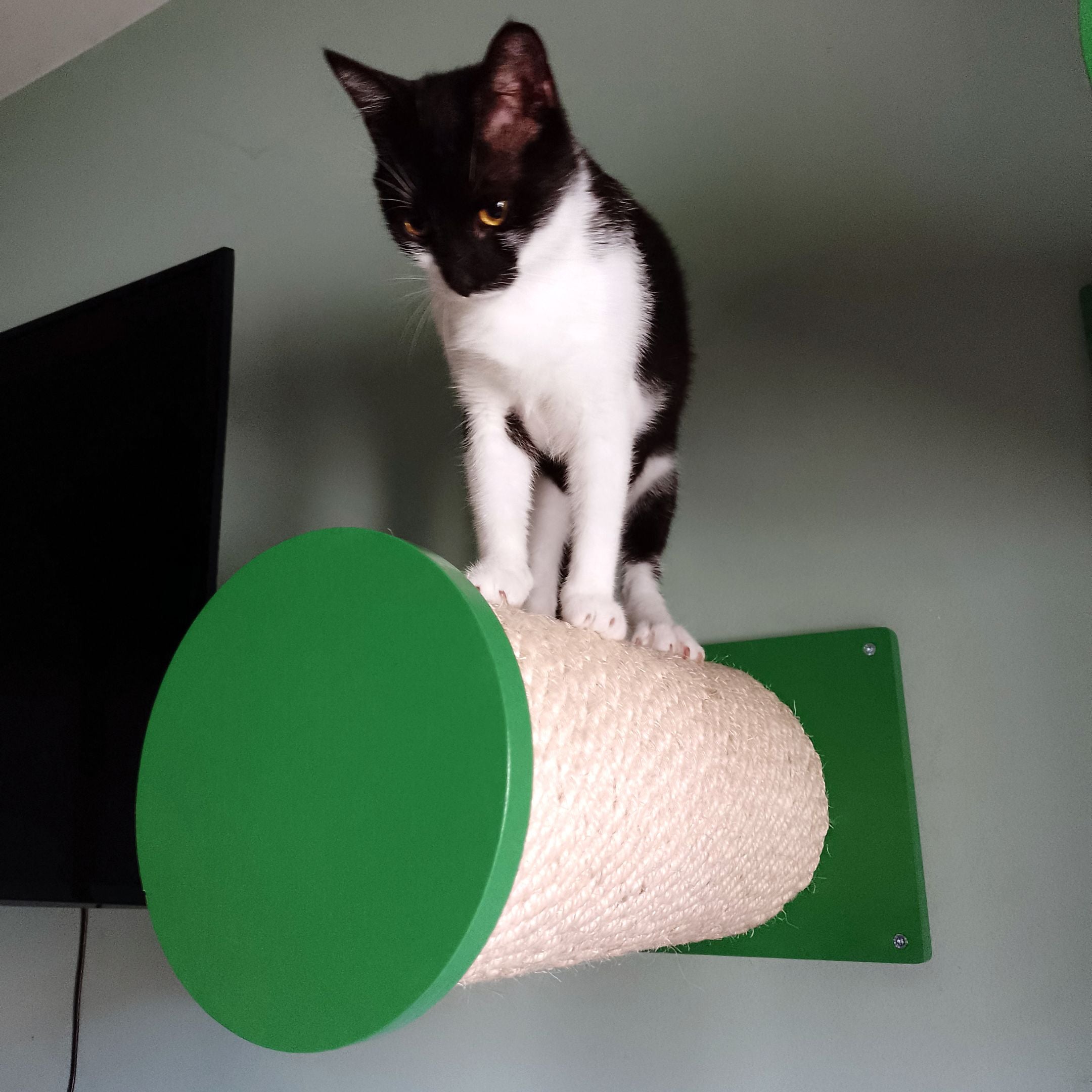 Cat Wall Scratching Pole Step Shelf - Wally Round Step Chonk - Scratchy Things Premium Pet Furniture