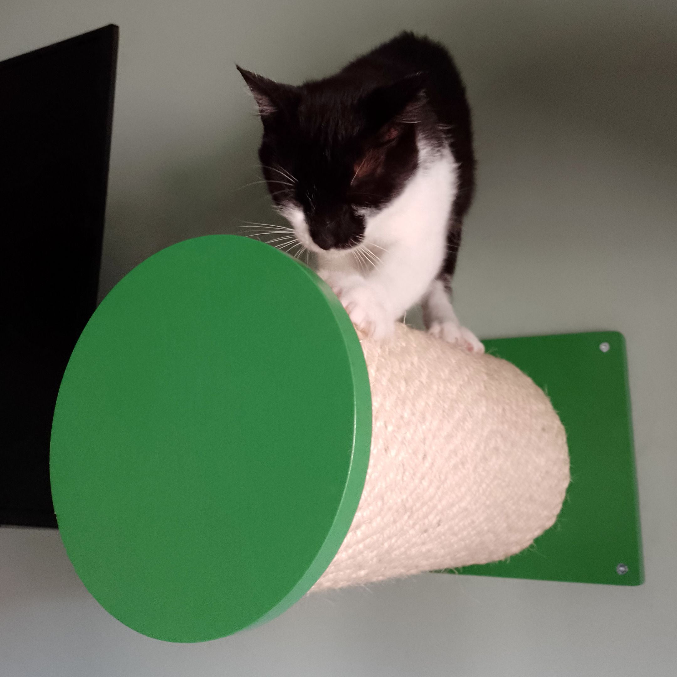 Cat Wall Scratching Pole Step Shelf - Wally Round Step Chonk - Scratchy Things Premium Pet Furniture