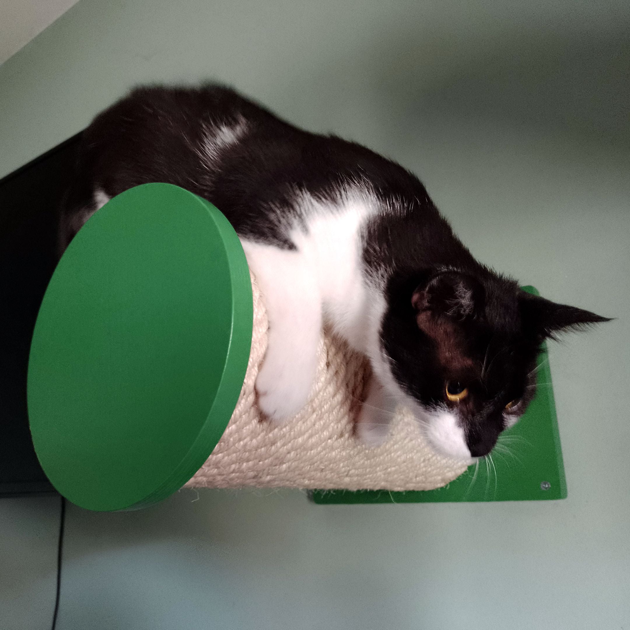 Cat Wall Scratching Pole Step Shelf - Wally Round Step Chonk - Scratchy Things Premium Pet Furniture
