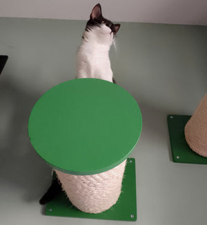 Cat Wall Scratching Pole Step Shelf - Wally Round Step Chonk - Scratchy Things Premium Pet Furniture