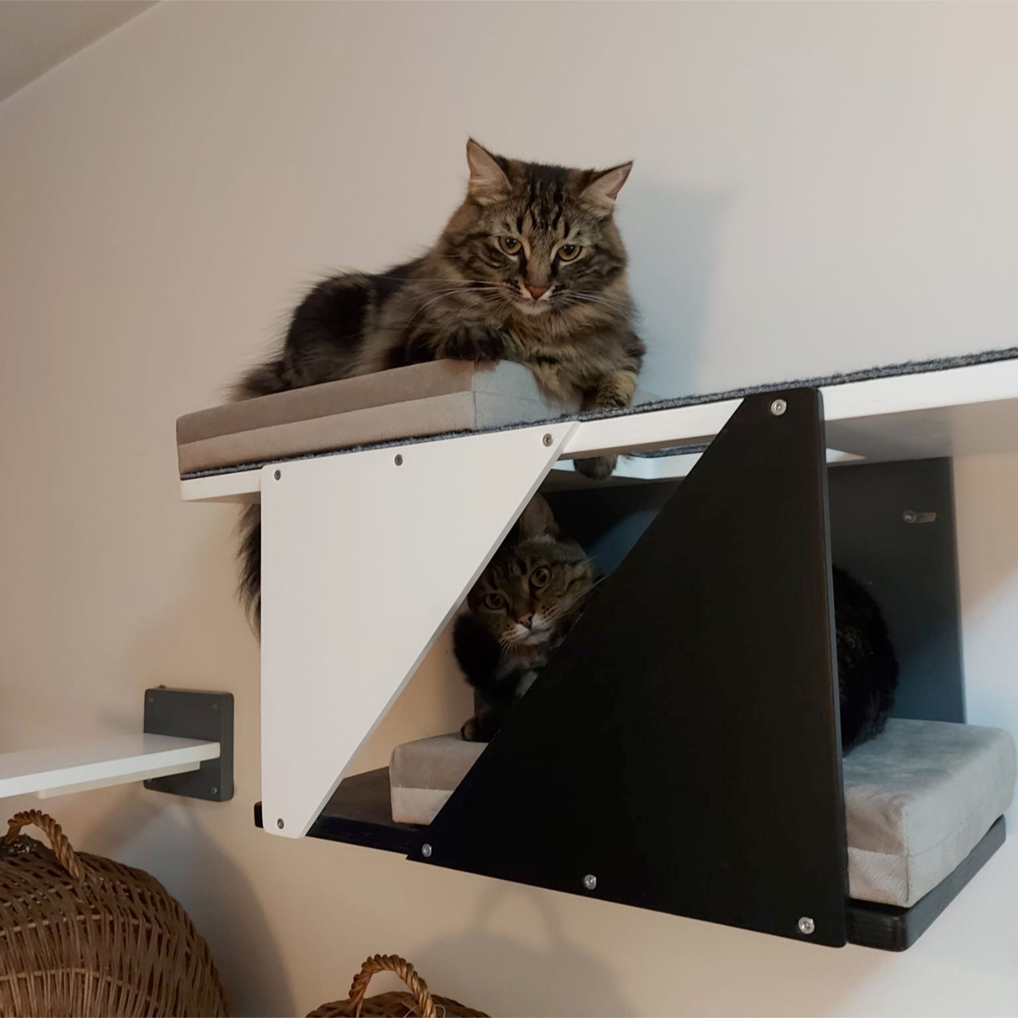 Cat Wall Shelf Bed Modern Tunnel Perch - Sharp Tunnel Mini - Scratchy Things Premium Pet Furniture