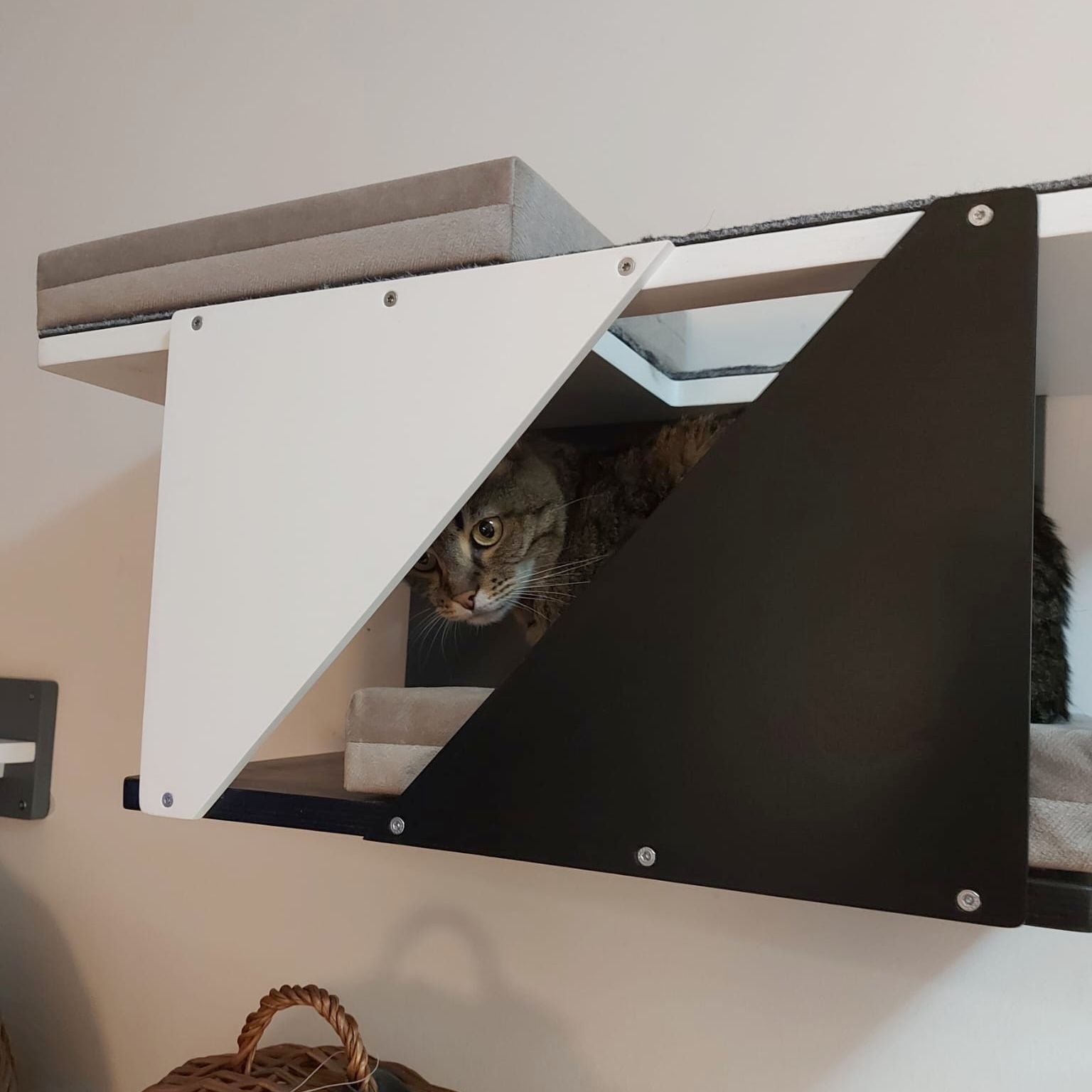 Cat Wall Shelf Bed Modern Tunnel Perch - Sharp Tunnel Mini - Scratchy Things Premium Pet Furniture