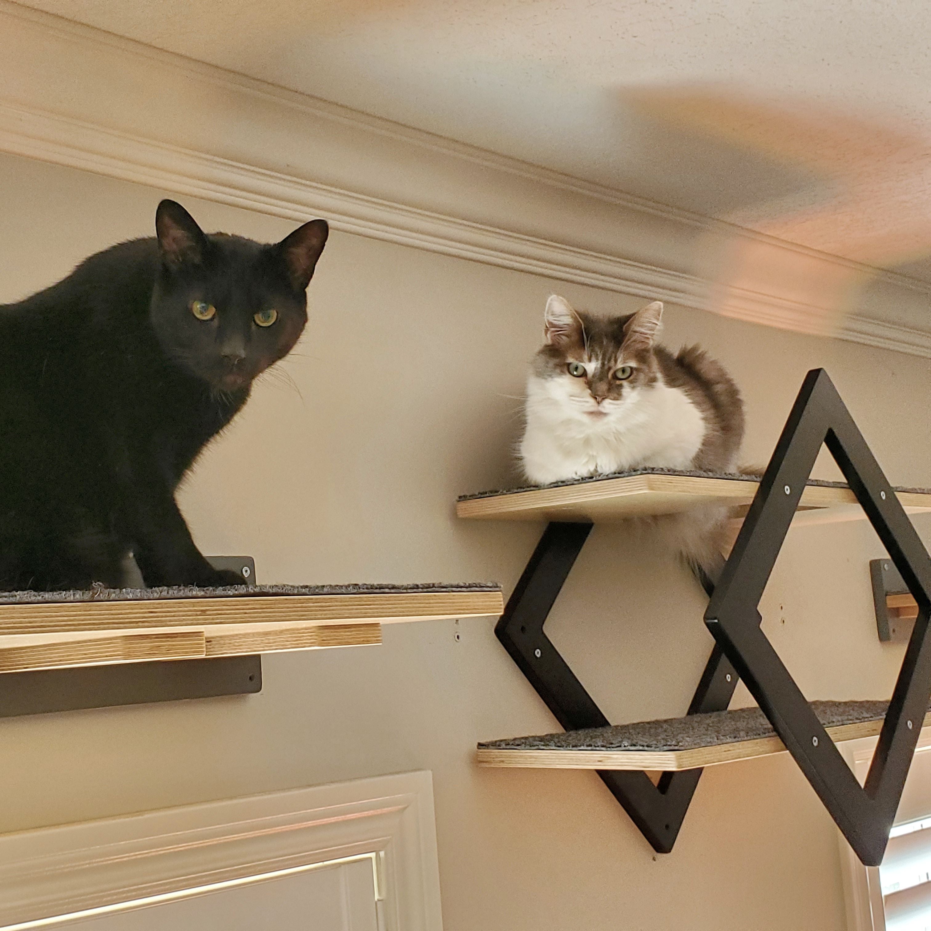 Cat Wall Shelf - Wally Gem - Scratchy Things Premium Pet Furniture