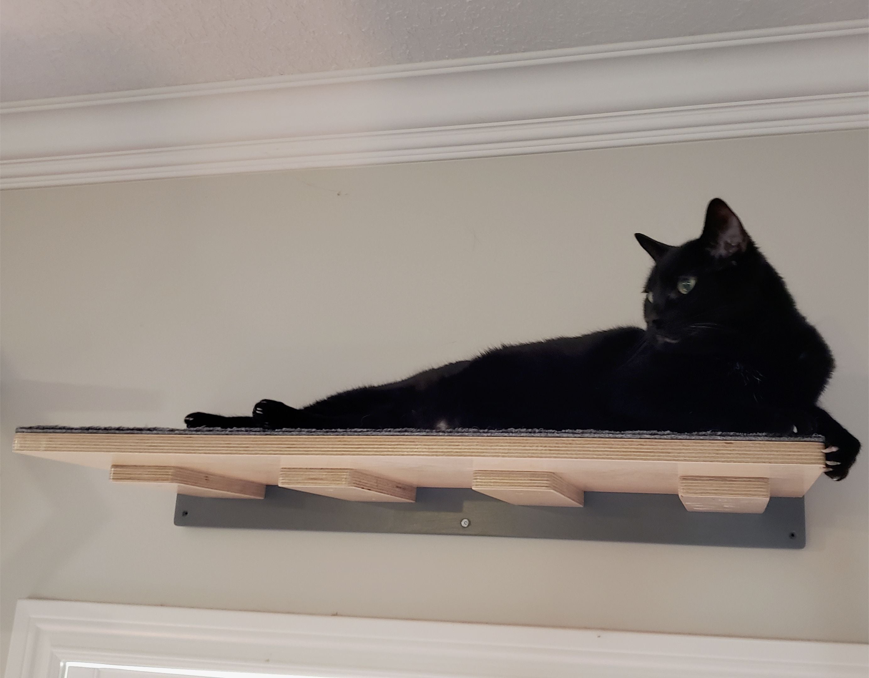 Cat Wall Shelf Step - Wally Flat - Scratchy Things Premium Pet Furniture