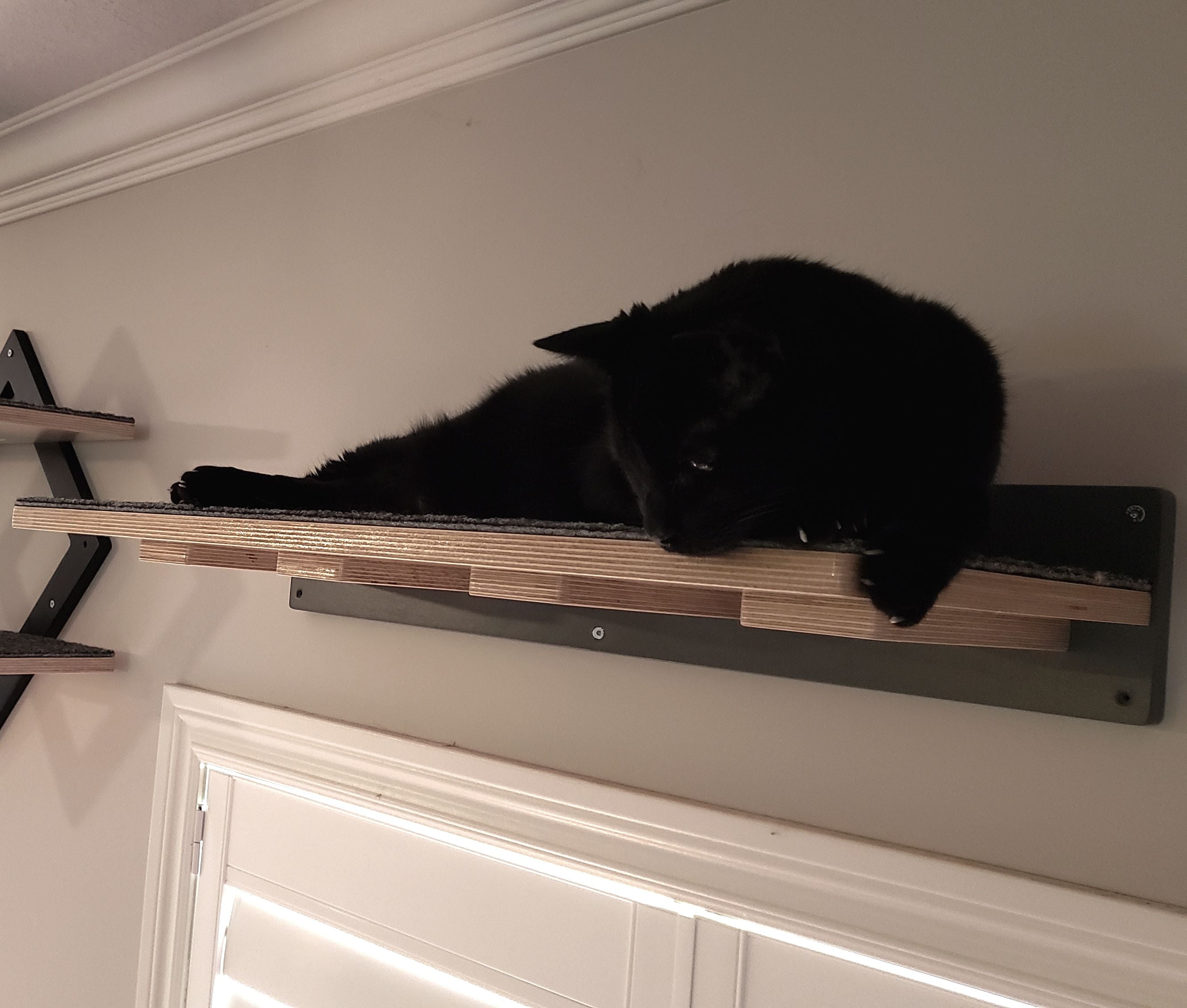 Cat Wall Shelf Step - Wally Flat - Scratchy Things Premium Pet Furniture
