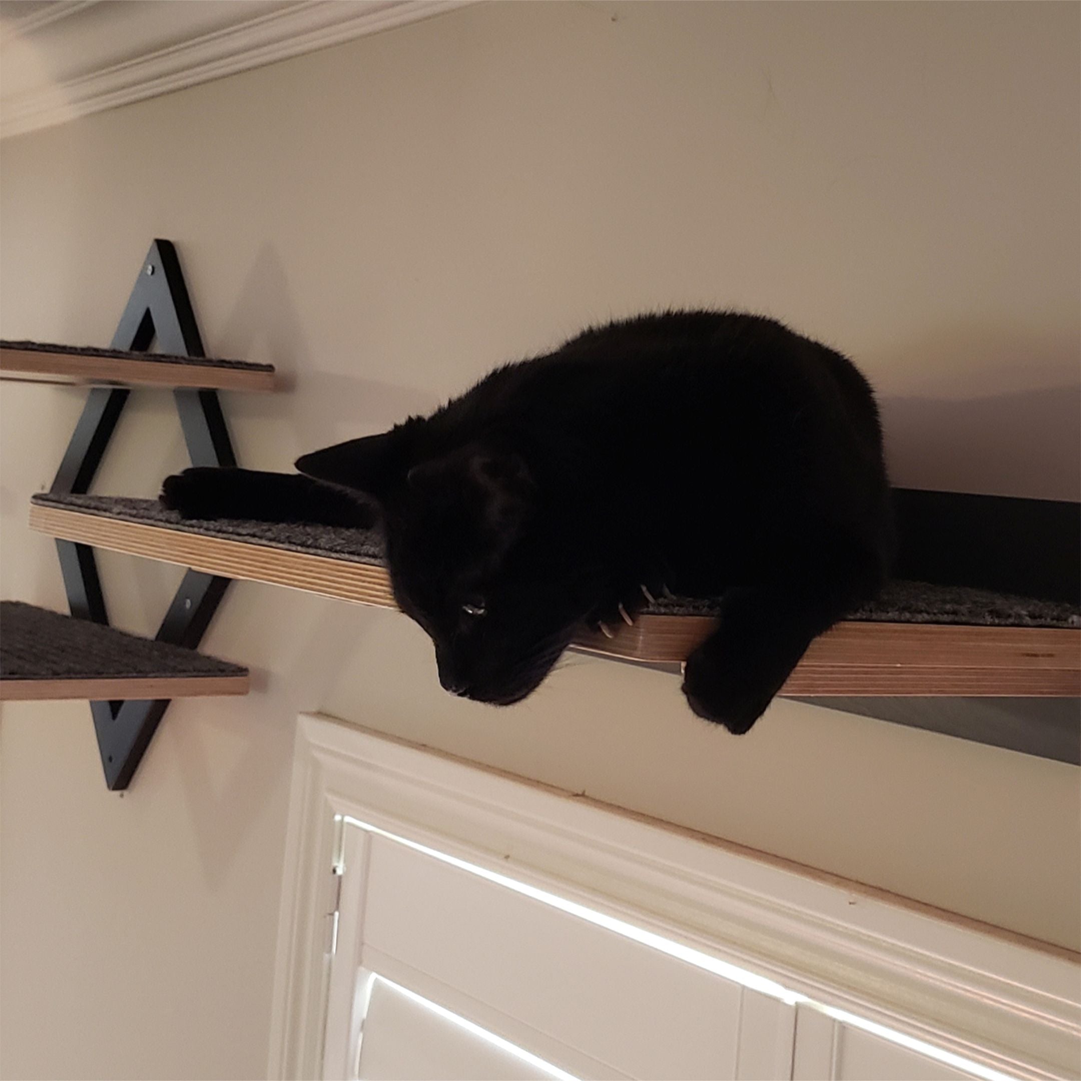 Cat Wall Shelf Step - Wally Flat - Scratchy Things Premium Pet Furniture
