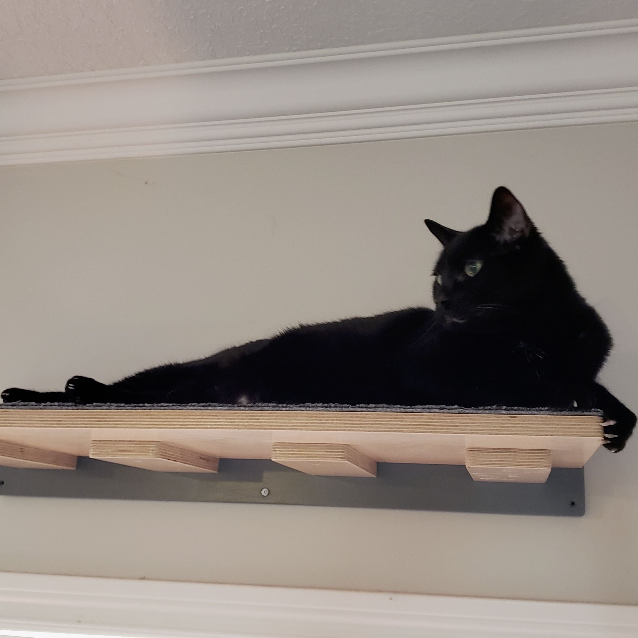 Cat Wall Shelf Step - Wally Flat - Scratchy Things Premium Pet Furniture
