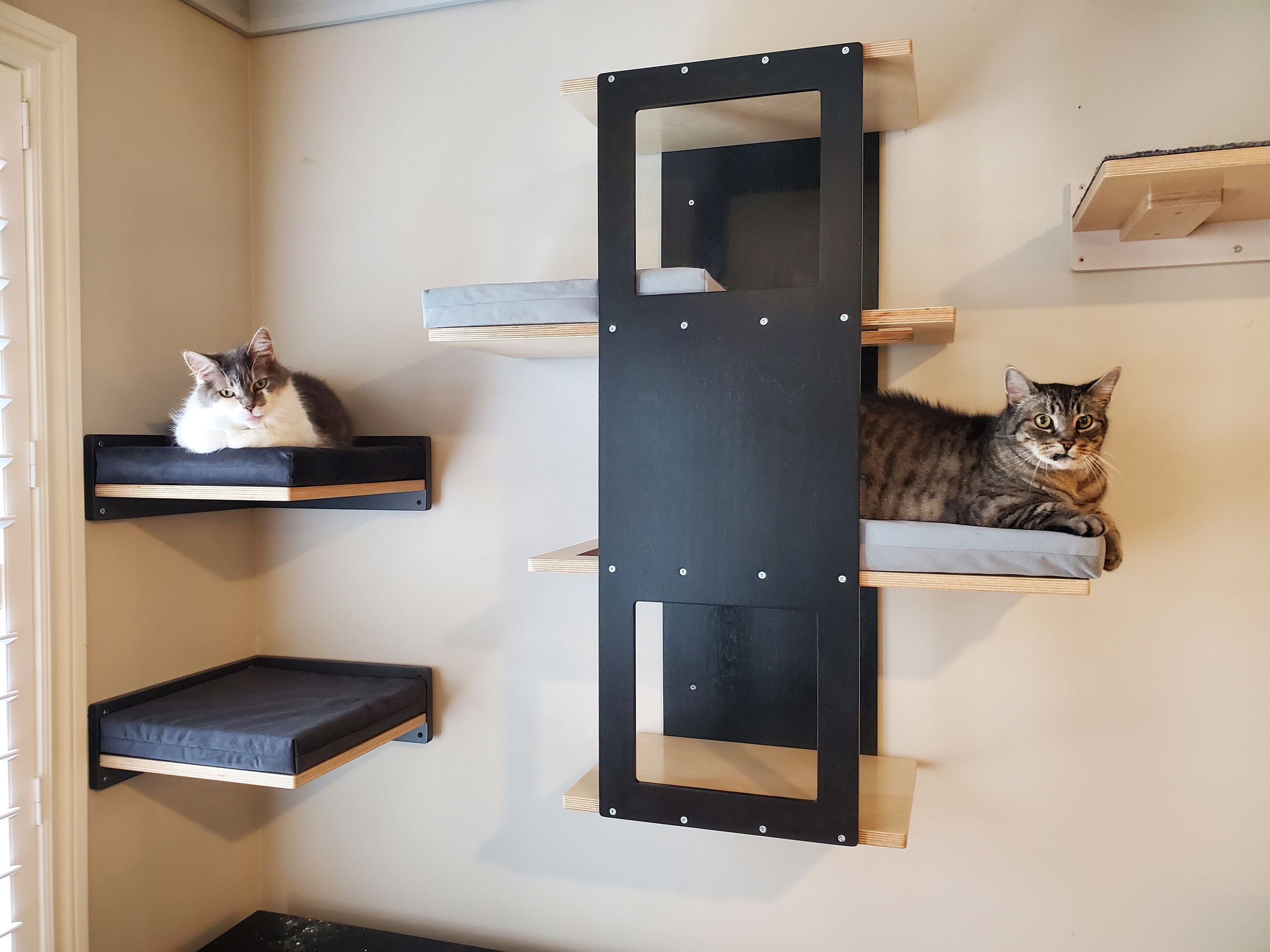 Big Cat Wall Shelf Bed - Wally BigCat Stacker - Scratchy Things Premium Pet Furniture