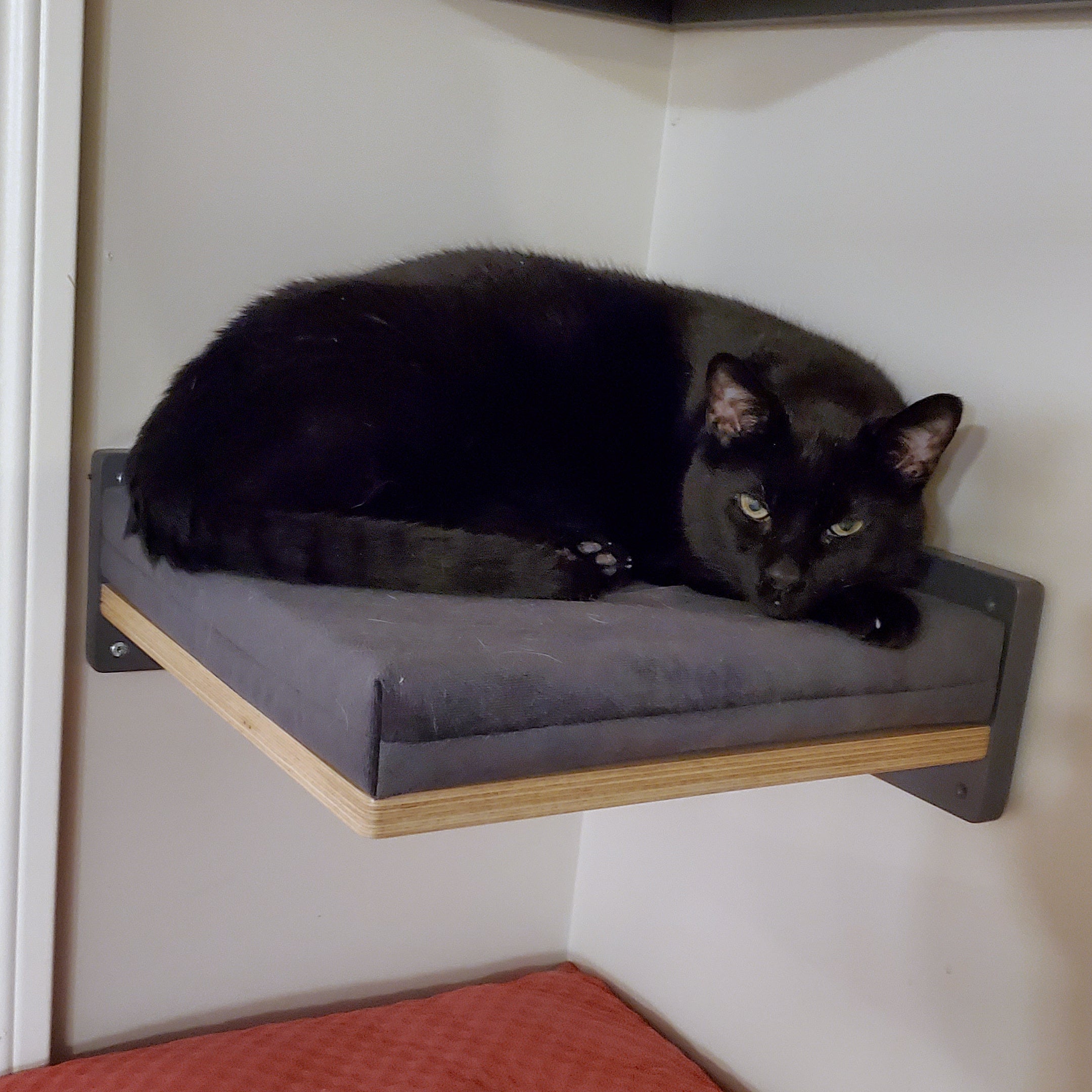 Cat Wall Shelf Bed Corner - Wally Corner - Scratchy Things Premium Pet Furniture