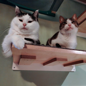 Cat Wall Shelf Step - Wally Flat - Scratchy Things Premium Pet Furniture