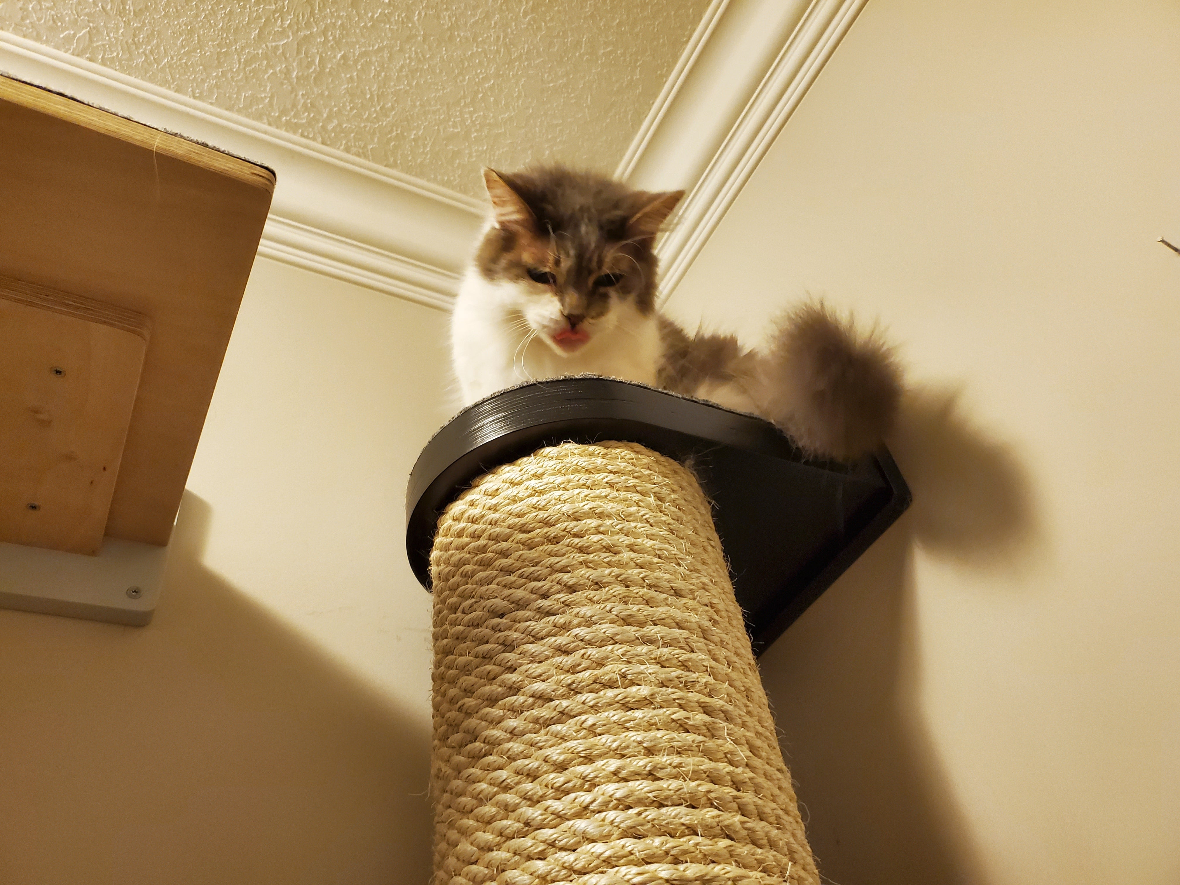 Cat Wall Scratching Pole Post Shelf - Mounty Chonk - Scratchy Things Premium Pet Furniture