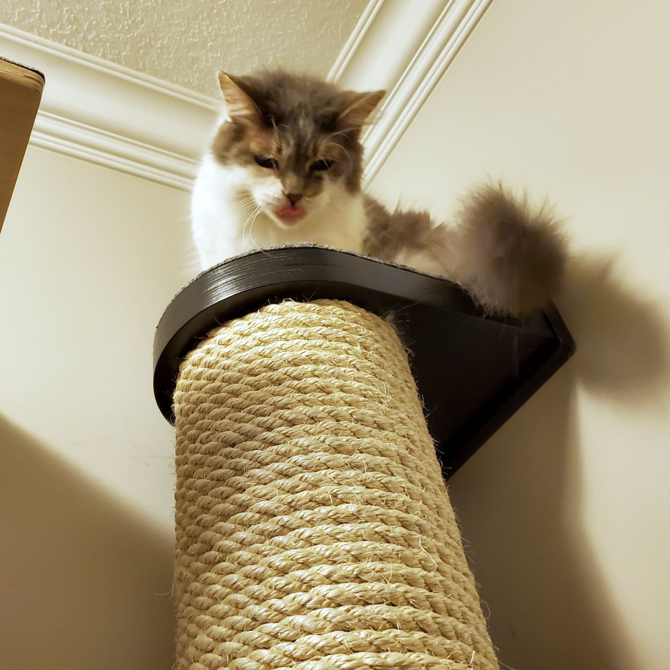 Cat Wall Scratching Pole Post Shelf - Mounty Chonk - Scratchy Things Premium Pet Furniture