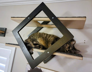 Cat Wall Shelf - Wally Gem - Scratchy Things Premium Pet Furniture