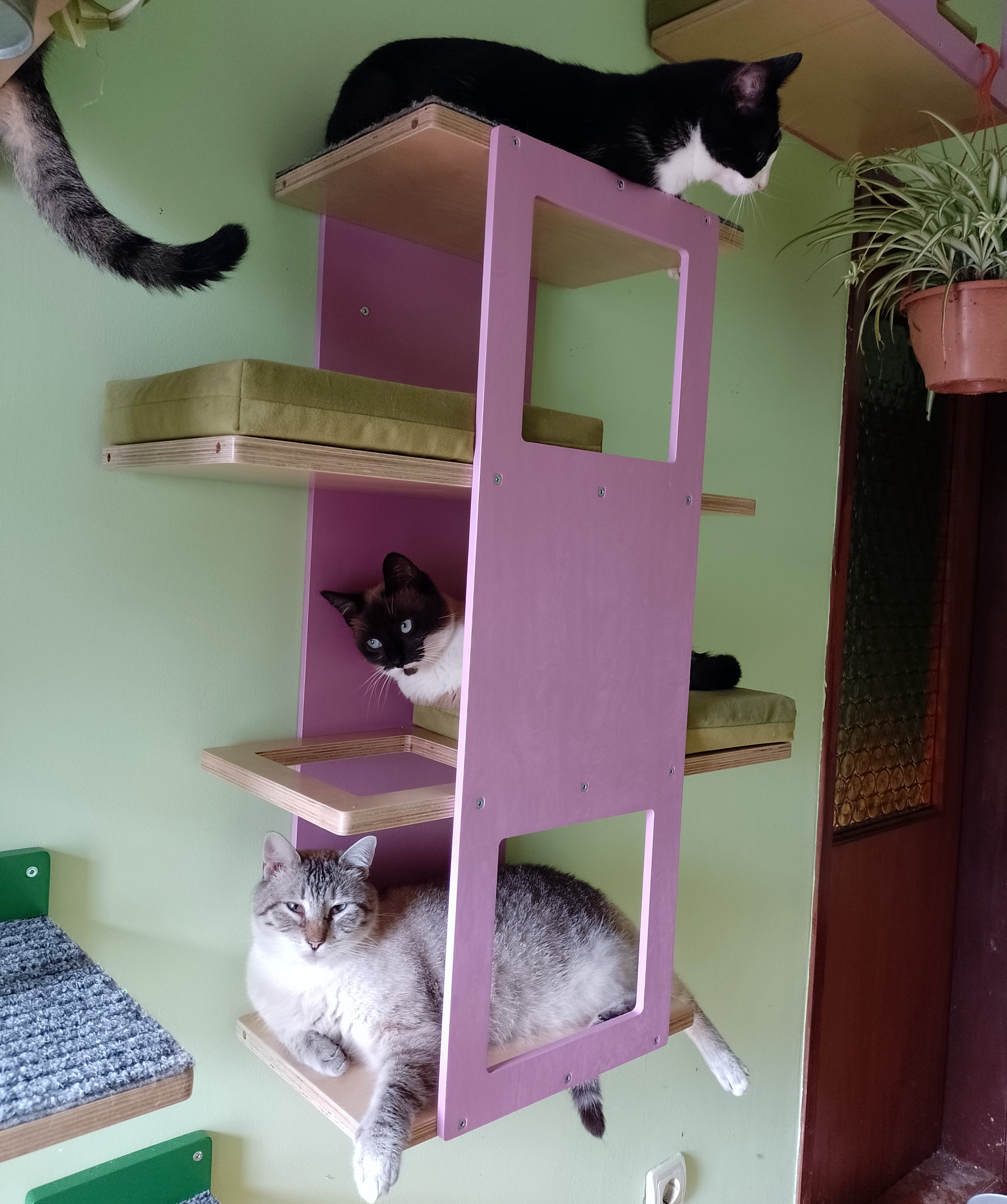 Cat Wall Shelf Step Bed Bundle - Hallway Bundle - Scratchy Things Premium Pet Furniture