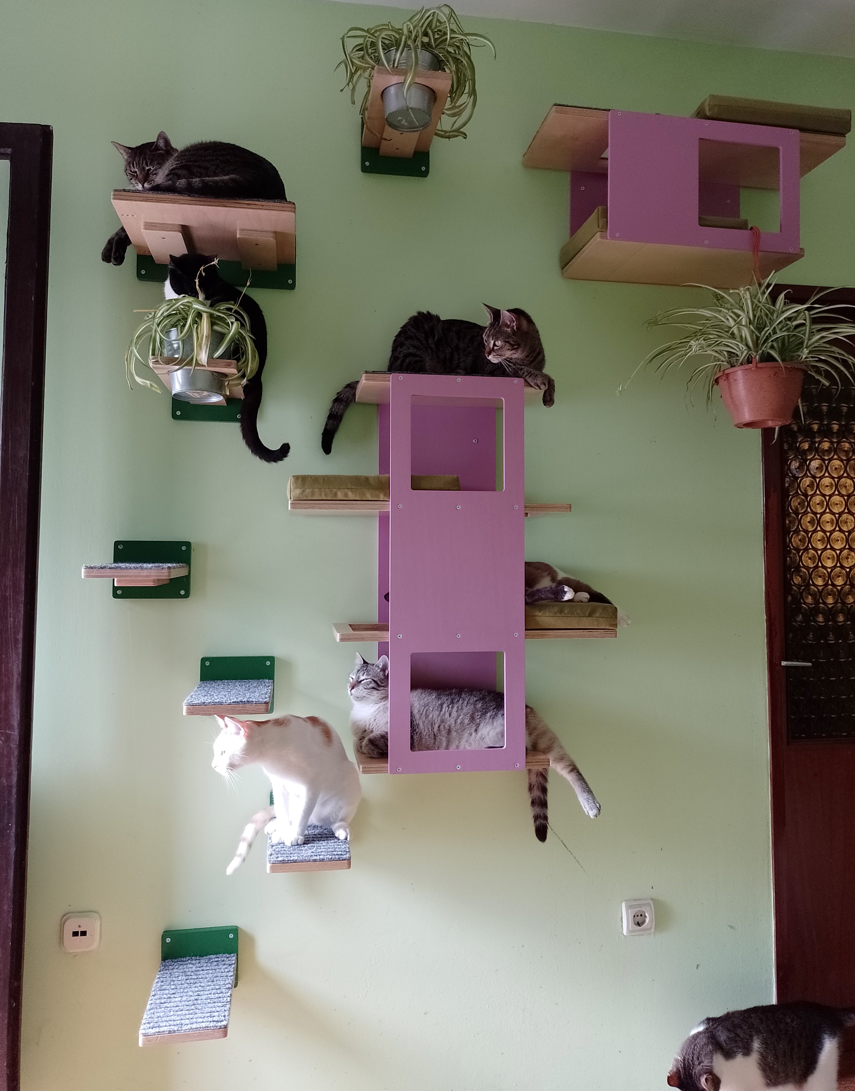 Cat Wall Shelf Step Bed Bundle - Hallway Bundle - Scratchy Things Premium Pet Furniture