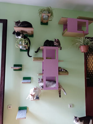 Cat Wall Shelf Step Bed Bundle - Hallway Bundle - Scratchy Things Premium Pet Furniture