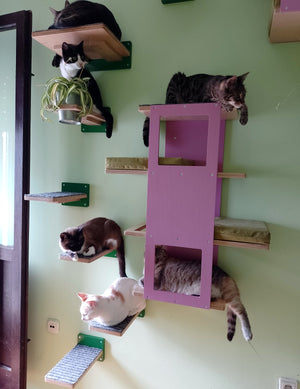 Cat Wall Shelf Step Bed Bundle - Hallway Bundle - Scratchy Things Premium Pet Furniture