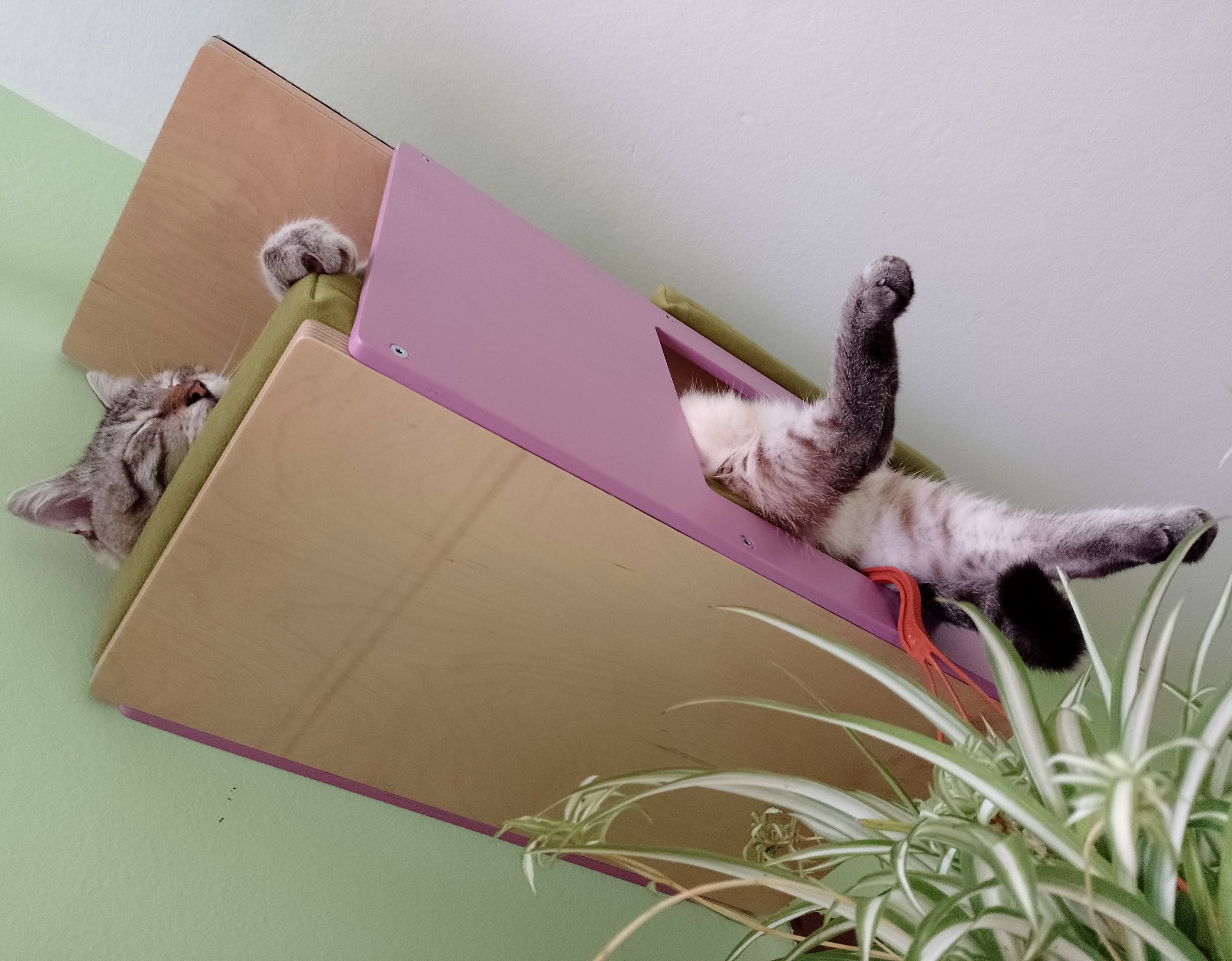 Cat Wall Shelf Step Bed Bundle - Hallway Bundle - Scratchy Things Premium Pet Furniture