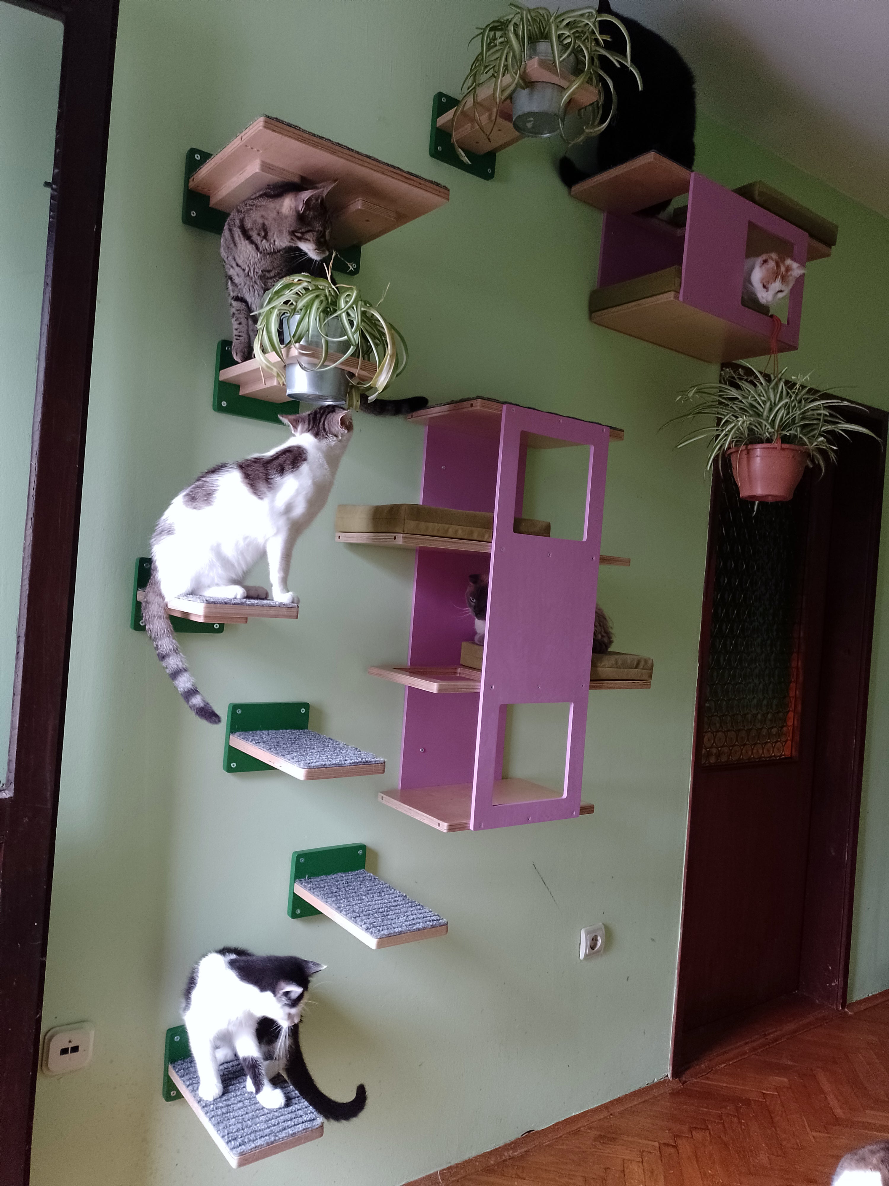 Cat Wall Shelf Step Bed Bundle - Hallway Bundle - Scratchy Things Premium Pet Furniture