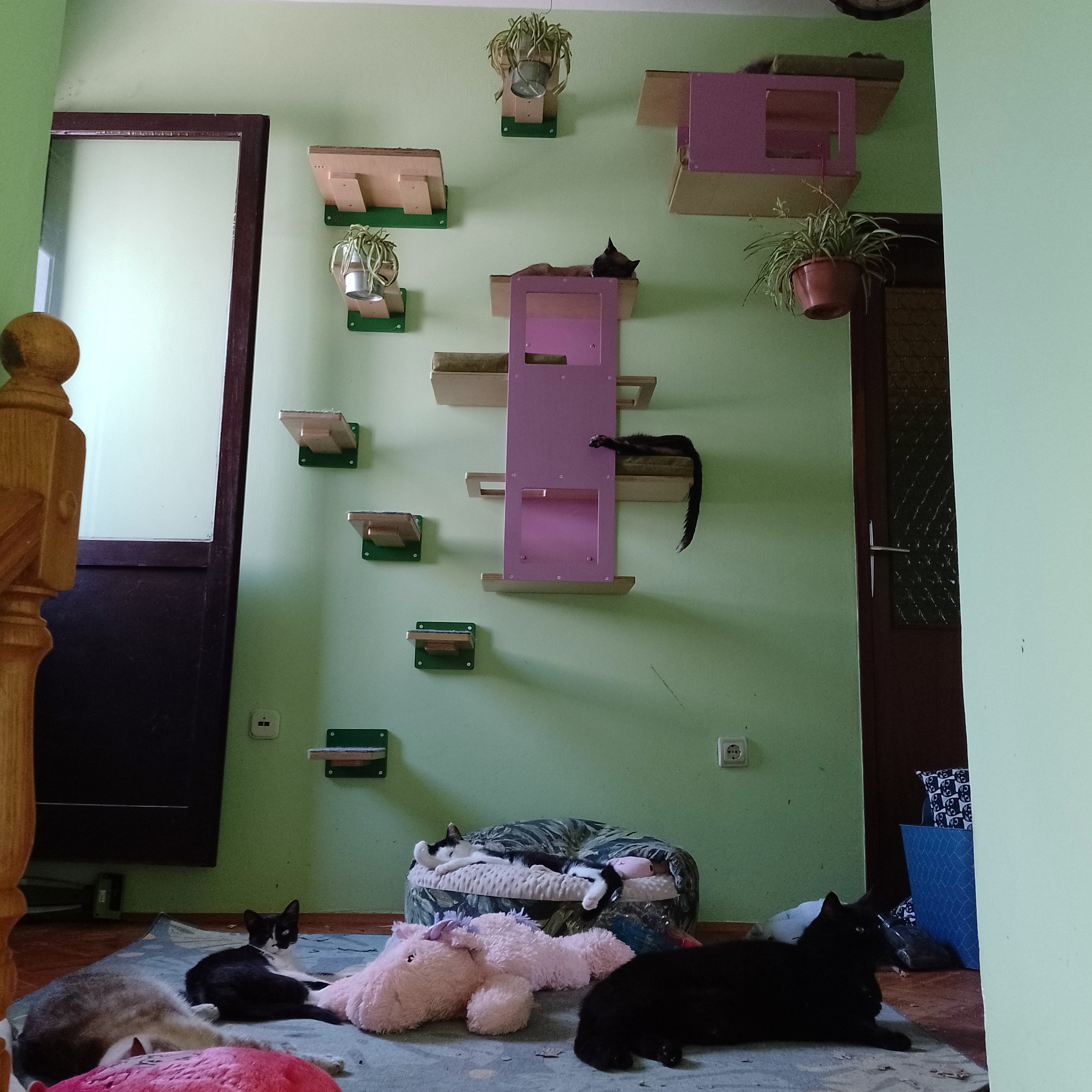 Cat Wall Shelf Step Bed Bundle - Hallway Bundle - Scratchy Things Premium Pet Furniture