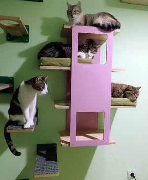 Cat Wall Shelf Step Bed Bundle - Hallway Bundle - Scratchy Things Premium Pet Furniture