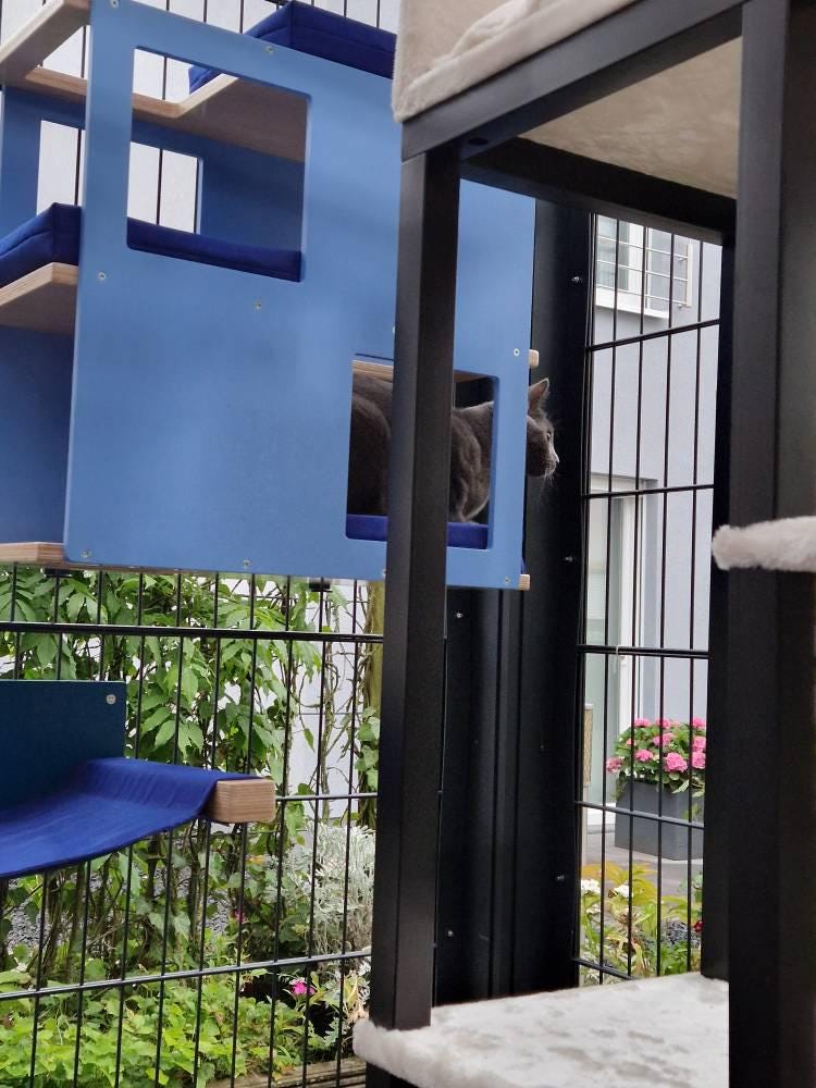 Catio Outdoor Cat Wall Shelf Bed Perch - Catio Loft - outdoor multilevel cat shelf - Scratchy Things Premium Pet Furniture