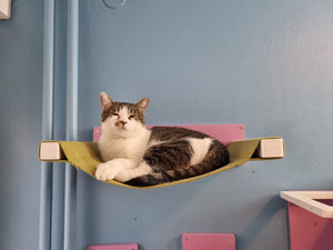Cat Wall Shelf Bed Hammock - Wally Cot - Scratchy Things Premium Pet Furniture
