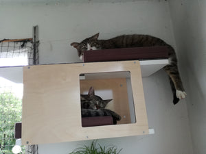 Cat Wall Shelf Bed - Wally Tunnel Mini - Scratchy Things Premium Pet Furniture