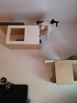 Cat Wall Shelf Bed - Wally Tunnel Mini - Scratchy Things Premium Pet Furniture