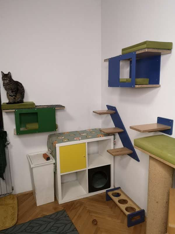 Cat Wall Shelf Bed - Wally Tunnel Mini - Scratchy Things Premium Pet Furniture