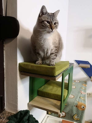 Cat Wall Shelf Bed - Wally Tunnel Mini - Scratchy Things Premium Pet Furniture