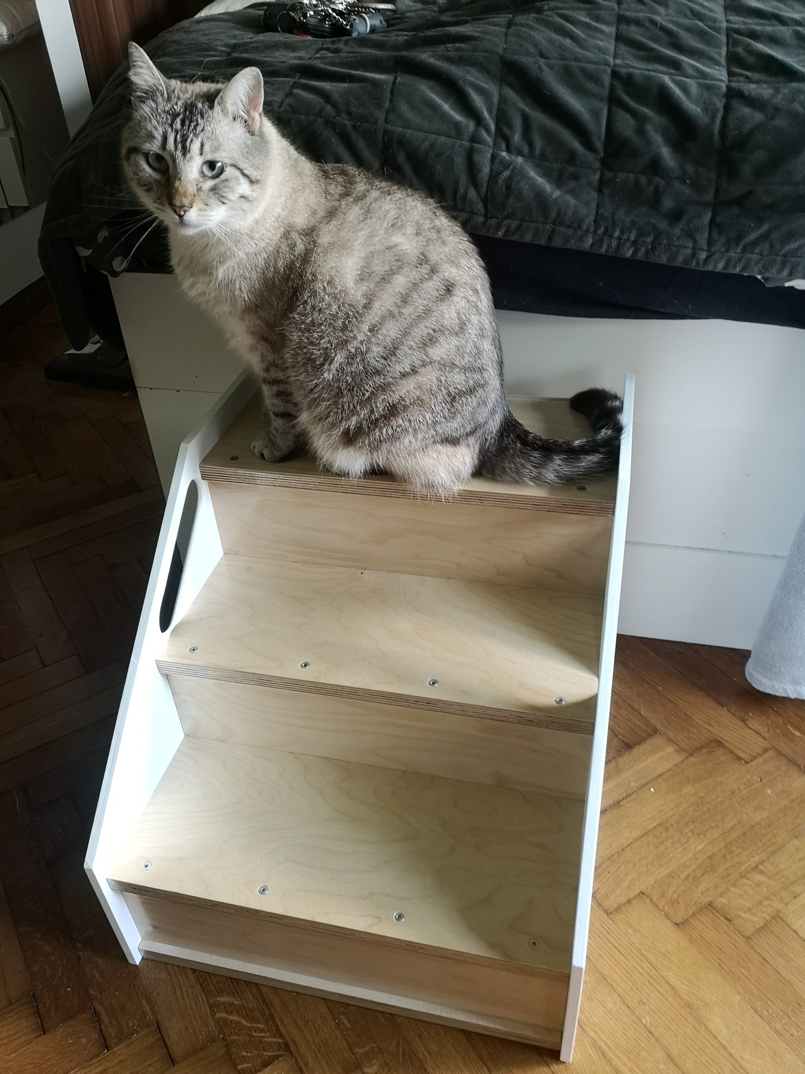 Cat Stairs Box House Bed - Boxy 3-Step - Scratchy Things Premium Pet Furniture