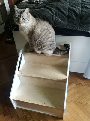 Cat Stairs Box House Bed - Boxy 3-Step - Scratchy Things Premium Pet Furniture